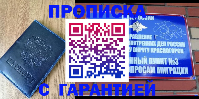 регистрация в Камчатской области
